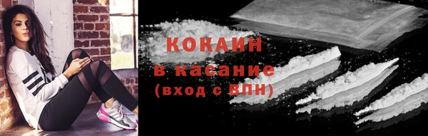 гашик Богородицк