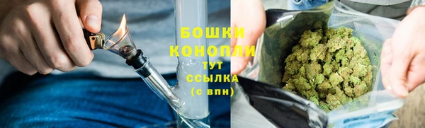 гашик Богородицк