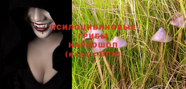 СК Богданович