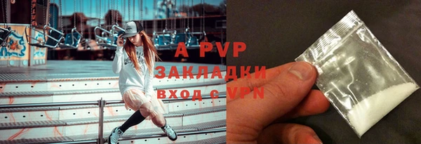 гашик Богородицк